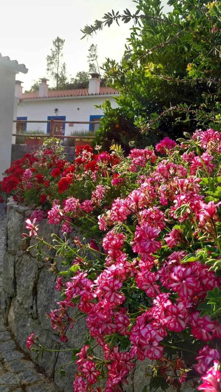 Quinta Da Idalina Villa Monchique Exterior photo